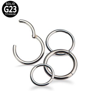 Titanium Hinged Segment Rings (Clicker) – Seamless Finish